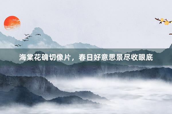 海棠花确切像片，春日好意思景尽收眼底