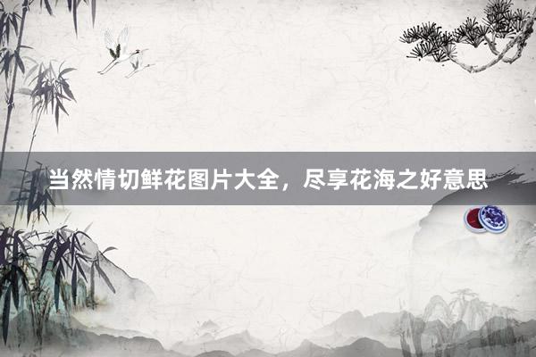 当然情切鲜花图片大全，尽享花海之好意思